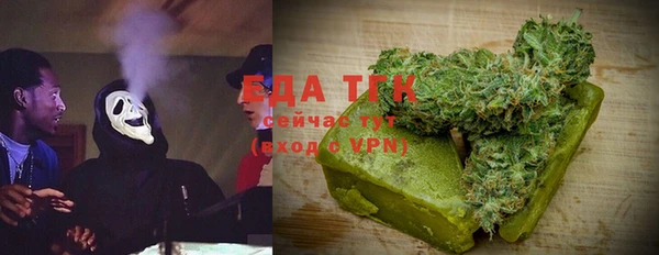 ГАЛЛЮЦИНОГЕННЫЕ ГРИБЫ Аркадак
