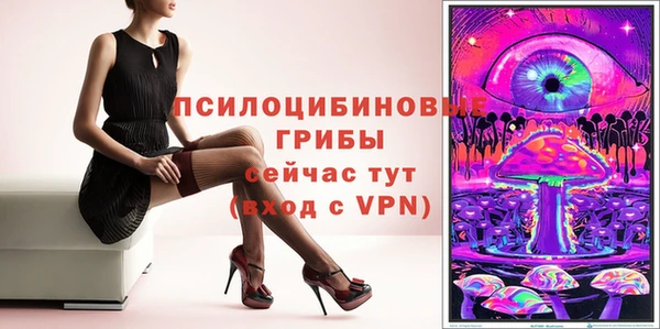 ГАЛЛЮЦИНОГЕННЫЕ ГРИБЫ Аркадак