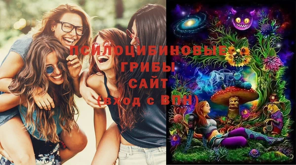 МДМА Арсеньев