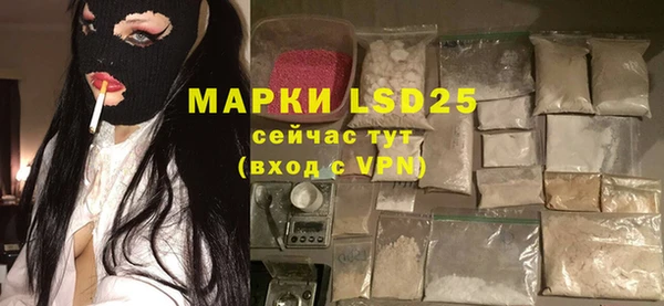 ГАЛЛЮЦИНОГЕННЫЕ ГРИБЫ Аркадак